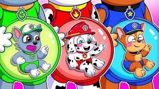 Brewing Cute Pregnant & Cute Baby Factory!? - Paw Patrol Ultimate Rescue - Funny Life | Rainbow 3