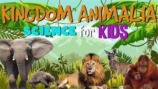 Animal Kingdom | Science for Kids