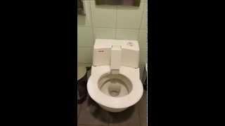 German toilet