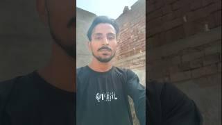 kaka ustaj ए #newsong #song #pigeon #kabootarba #raisenpigeons #kabootar