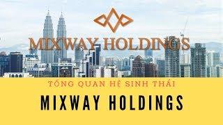 MIXWAY HOLDINGS, tổng quan về mixway holdings 2019