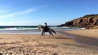 Portugal beach photo shooting 2016