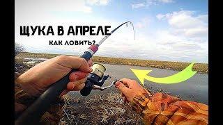 Как ловить щуку в апреле?