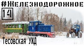 Катаемся по тесовсовской узкоколейке на тепловозе ТУ4, с вагонами ПВ40, #Железнодорожное - 14 серия