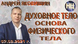 ДУХОВНОЕ ТЕЛО - ОСНОВА ФИЗИЧЕСКОГО ТЕЛА. Андрей Яковишин