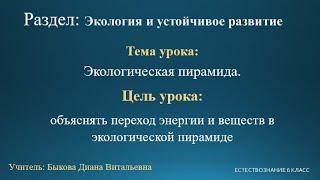 Естествознание 6 класс. Тема урока: Экологическая пирамида