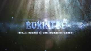 BukkitDE Intro