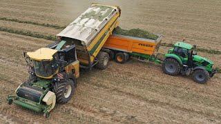 V12 de 1200 CH à l'ENSILAGE de FANES DE POIS | ProDX | LesBFagri's