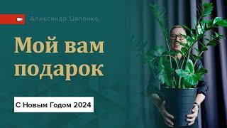 С Наступающим 2024! Мой подарок вам в видео.