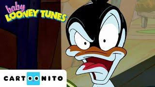 Spooky Ducky | Baby Looney Tunes | @cartoonito