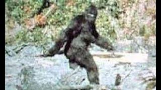 Sasquatch Seekers- An In-Depth Canadian Documentary