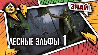 Лесные эльфы часть 1 | Знай | Warhammer Fantasy