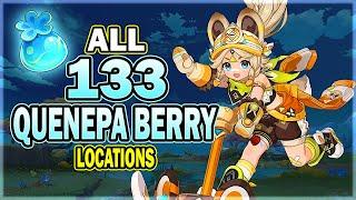 All 133 Quenepa Berry Locations - Efficient Farming Route - Kachina Ascension | Genshin Impact