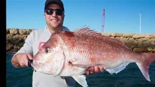 Finding Snapper with SideScan | Simrad