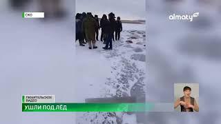 Табун лошадей провалился под лед в северном Казахстане