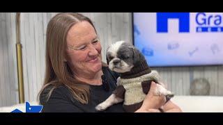 Full show: Meet the woman who saved the interstate dog