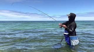 Land-based King George whiting fishing on Yorke Peninsula