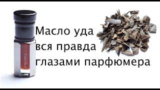 Масло уда и вся правда о нем глазами парфюмера.