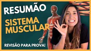 Resumão: SISTEMA MUSCULAR