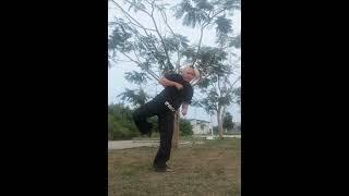 HOW TO SPINNING HOOK KICK SHORIN RYU KARATE