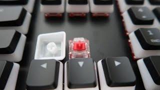 HyperX Alloy Elite 2 – Mechanical Gaming Keyboard Typing Sound (Hyper X Red)