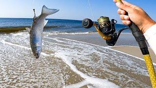 Fall Surf Fishing - Live Mullet & Shrimp Chunking For Whatever I Can Catch & Eat