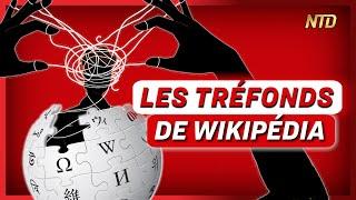 Peut-on vraiment faire confiance à Wikipédia ?