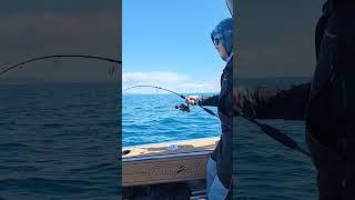 Snapper on Spin Slow Pitch Jigging