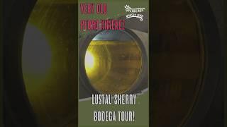 Inside Lustau! | Sherry Bodega Tour #shorts #sherry #spain #wine