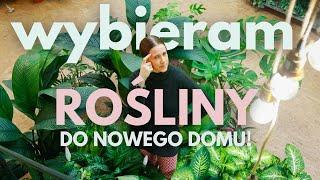 Wybieram Rośliny Do Nowego Domu 🪴🪴🪴 Moje Top 5 DUŻYCH ROŚLIN 