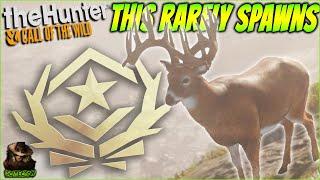 THIS Is The Rarest Great One Whitetail In Call of the wild...