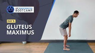 HIP TRANSFORMATION BOOTCAMP: Day 5 Gluteus Maximus