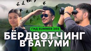 По стопам "Гида SUMMER 365": Бердвотчинг / Что делать в Батуми в сентябре?