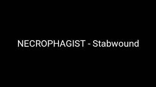 Necrophagist - Stabwound Backing Track