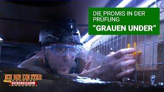 Prüfung Tag 11 - "Grauen Under" | Die große Dschungelshow 2021