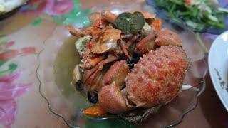 mencari kepiting || kongkom