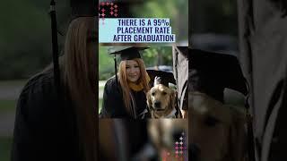 Why Furman? In 30 Seconds