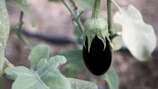 Experiencias Agroturísticas Método 403