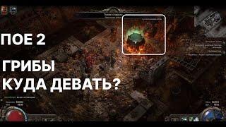 ГАЙД:  КВЕСТ С ГРИБАМИ (Оскверненная вершина) #POE2 #POE #pathofexile2