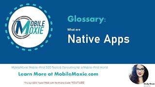 What is a Native App? How Are Native Apps different from Web Apps & Progressive Web Apps?