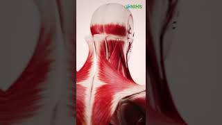 Expert Tips to Keep Your Bones & Joints Healthy