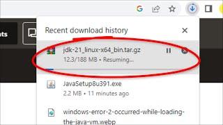 Google Chrome Download Resuming Issue - Google Chrome Download Stuck Issue - Fix