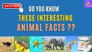 Do You Know These Interesting Animal Facts ?? | Find Out With LearnyDay |