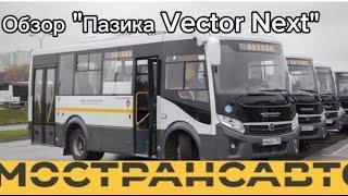 Обзор автобуса ПАЗ Vektor Next, современный автобус на шасси грузовика, адыкватный Пазик