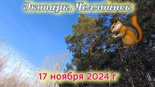 Экопарк в Челябинске 17 ноября 2024 г