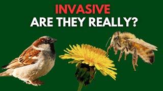 What are Invasive Species? | The Difference Between Native, Non-Native, Introduced and Invasive