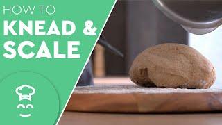 How to use Cooking Modes: Knead and Scale | Multo™ by CookingPal®