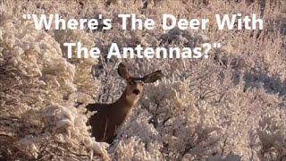 "Where's The Deer With The Antennas?"