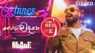 Sanwedana | සංවේදනා | Shane Zing | Coke RED | @RooTunes