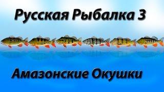 Квест Амазонские Окушки